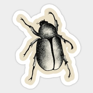 Beetle Sticker